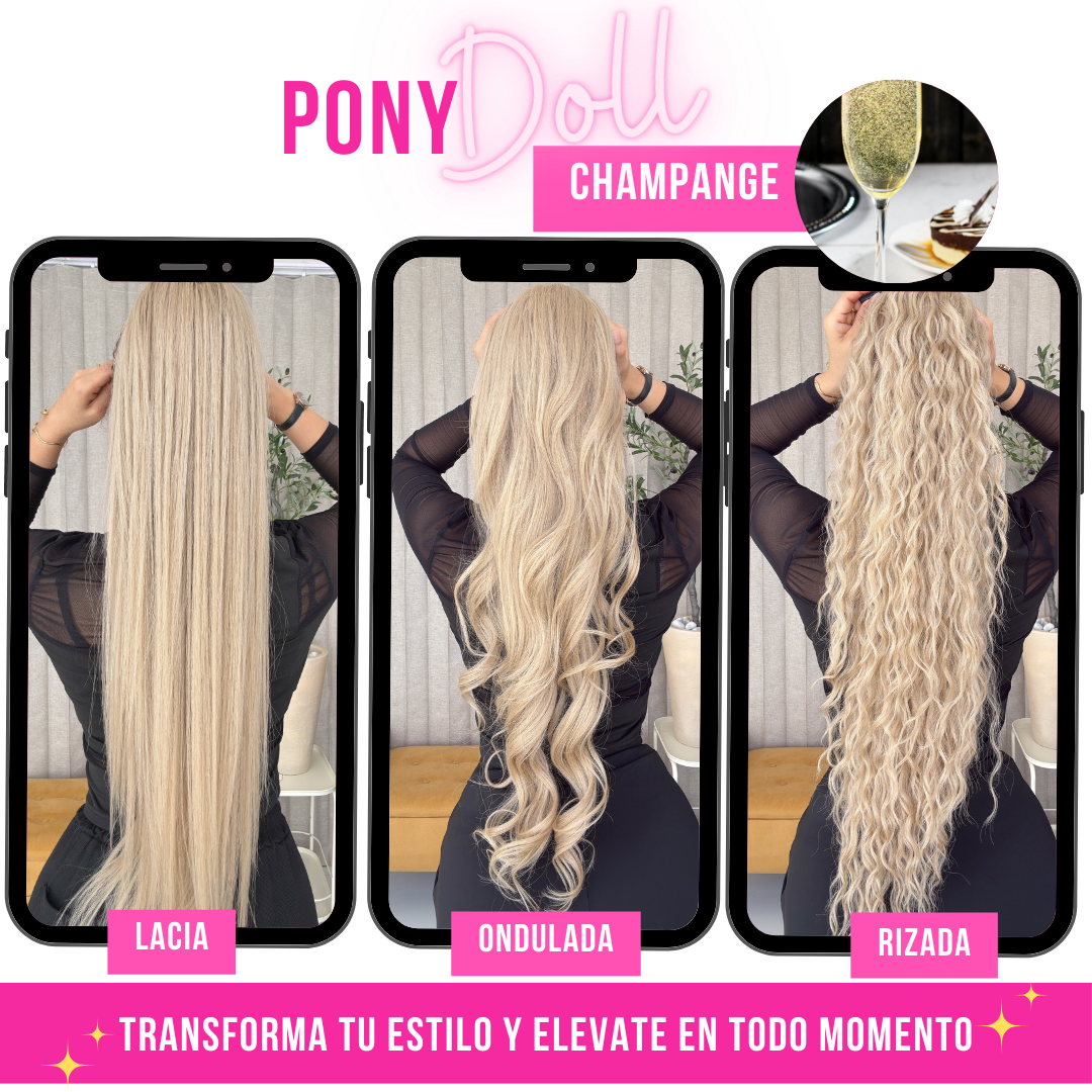 CHAMPANGE 28"