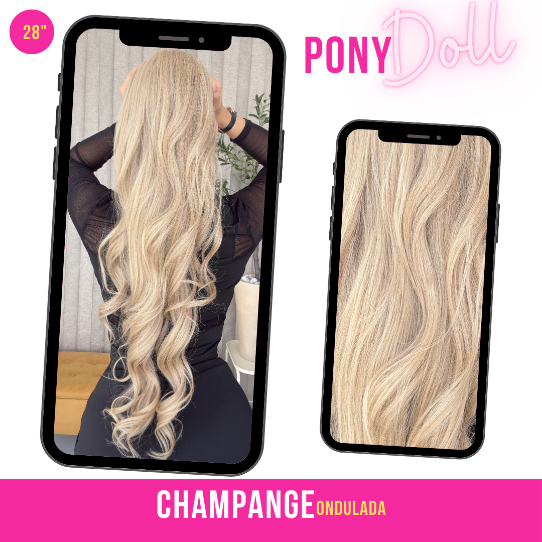 CHAMPANGE 28"