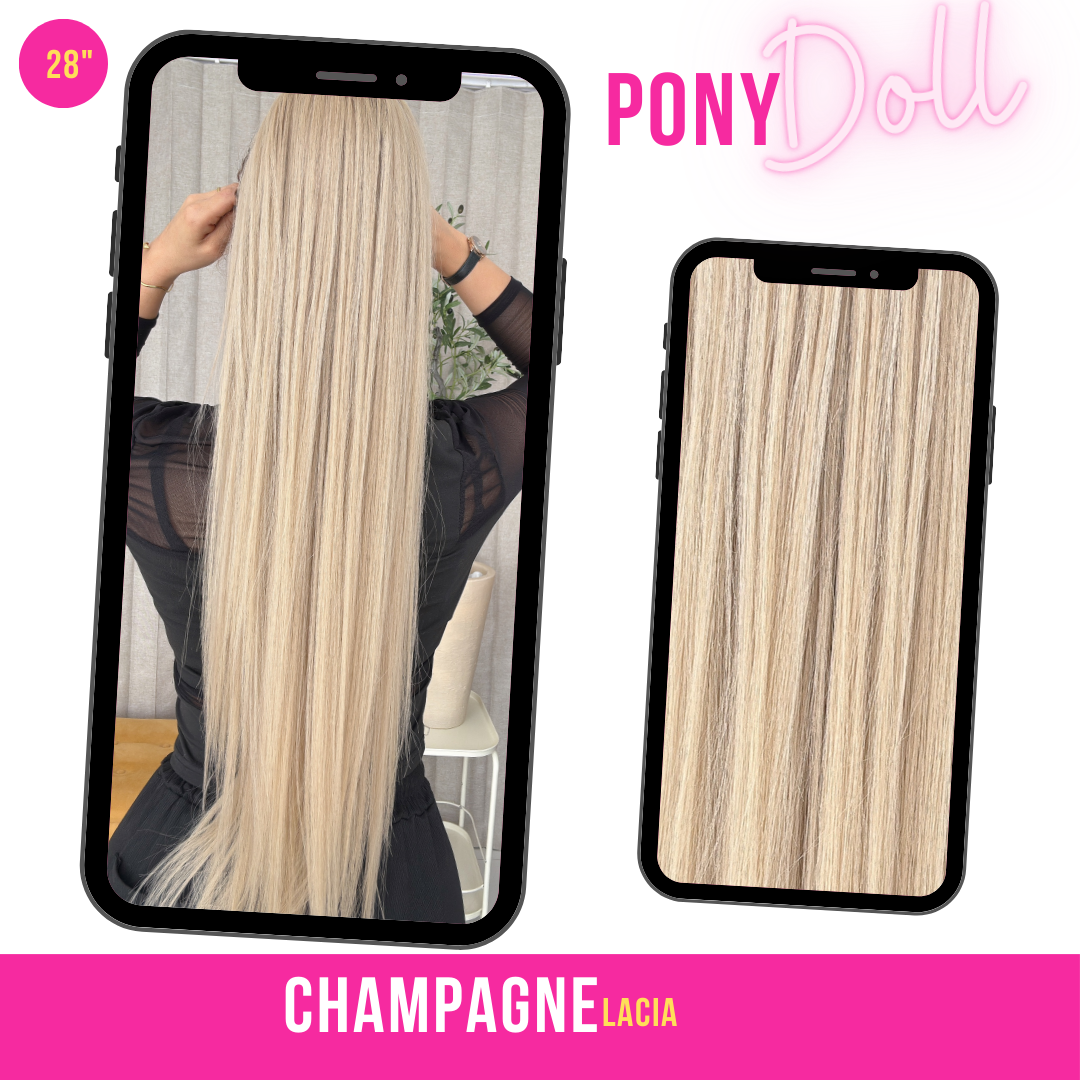 CHAMPANGE 28"