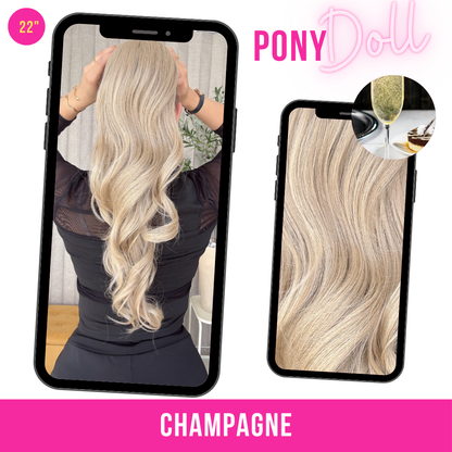 CHAMPANGE 22"