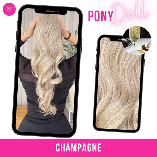 CHAMPANGE 22"