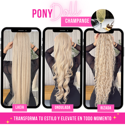 CHAMPANGE 28"