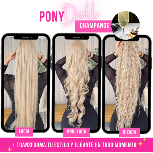 CHAMPANGE 28"