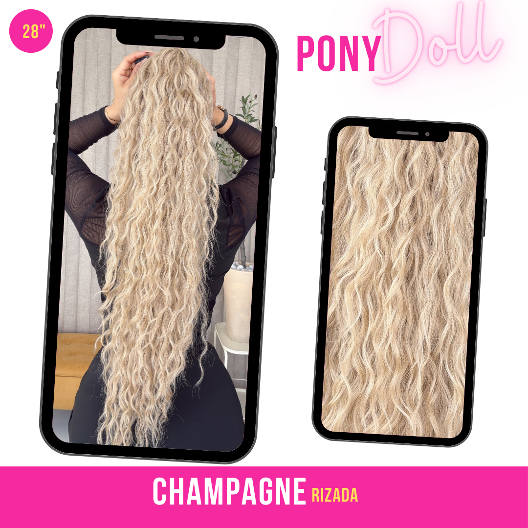 CHAMPANGE 28"